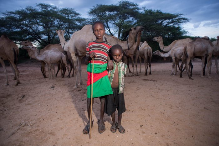 Lchekutis, los niños pastores masai